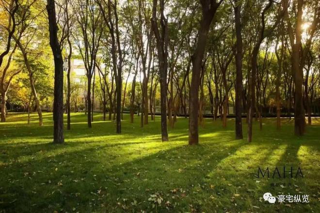 缦合北京-售楼处(缦合北京)官方网站-2025新首页欢迎您-楼盘百科(图11)