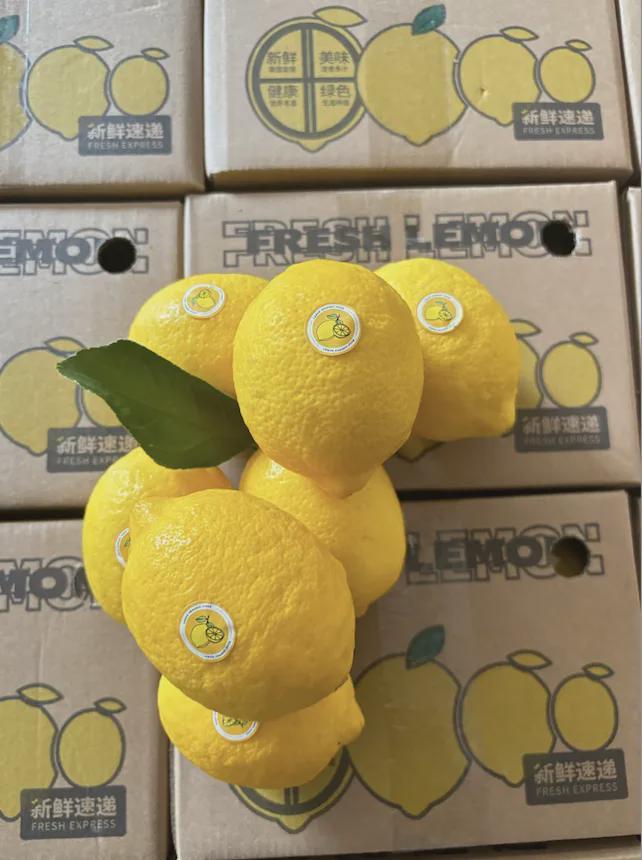 便宜又好吃的老水果去哪儿了?(图11)