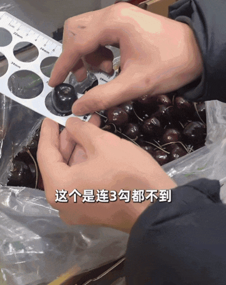 便宜又好吃的老水果去哪儿了?(图12)