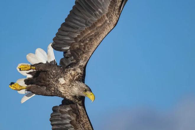 不输冰岛的北极圈胜地打卡雪山群峰下的红色渔村推开窗就是极光!(图29)