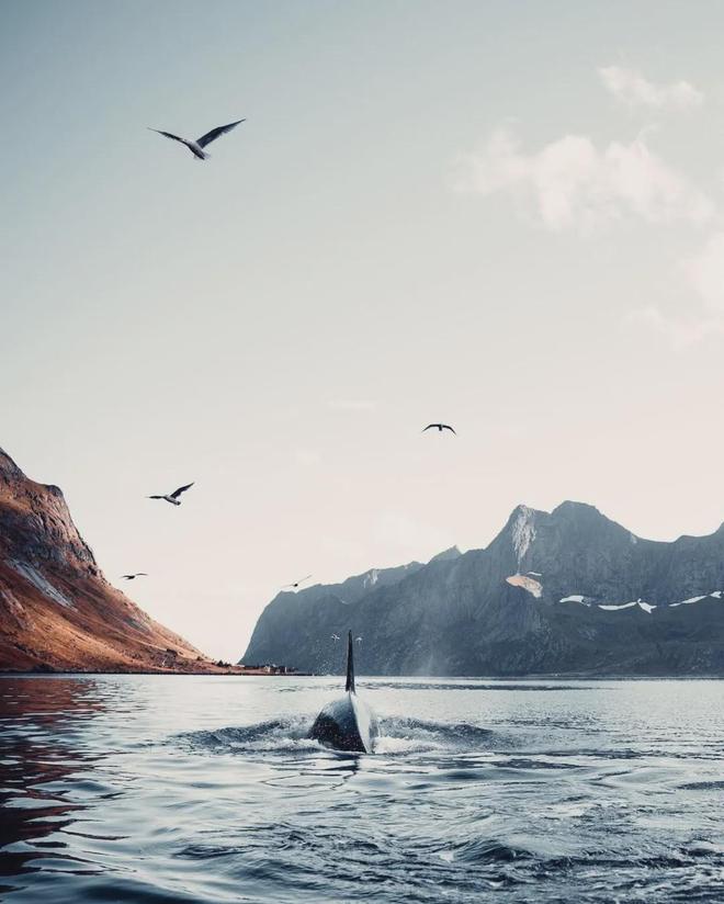 不输冰岛的北极圈胜地打卡雪山群峰下的红色渔村推开窗就是极光!(图28)