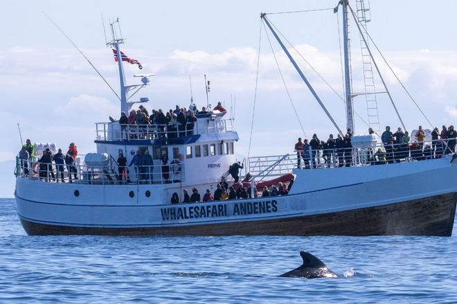 不输冰岛的北极圈胜地打卡雪山群峰下的红色渔村推开窗就是极光!(图66)