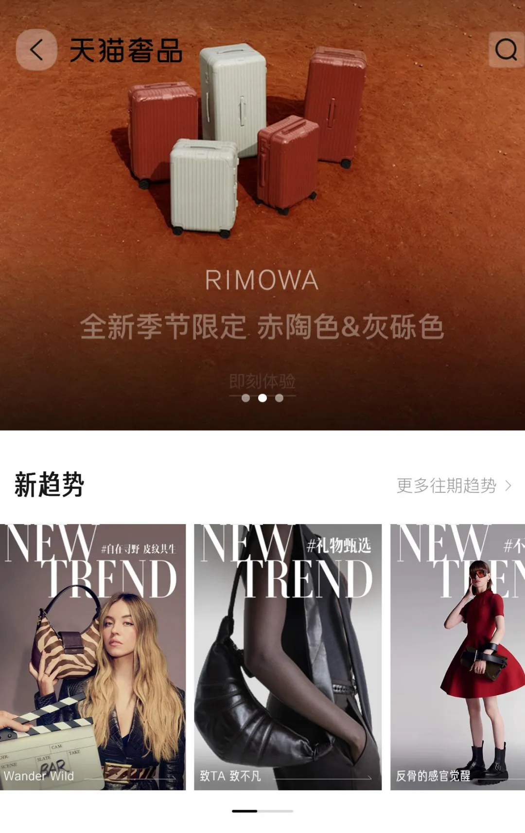 这个双11线上奢侈品开始抓牢年轻人(图4)