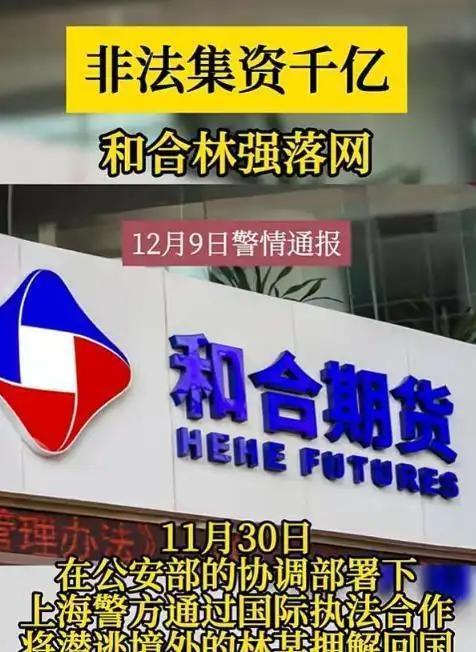 林强涉案989亿被抓细节曝光妻子满墙爱马仕全家合谋洗钱8亿(图2)