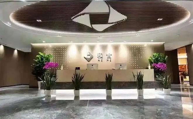 林强涉案989亿被抓细节曝光妻子满墙爱马仕全家合谋洗钱8亿(图6)